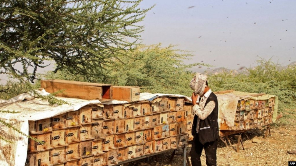 "ذهب اليمن".. خسائر كبيرة في سنوات الحرب